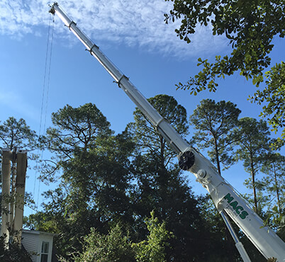 Demolition and Construction Cleanup Cranes