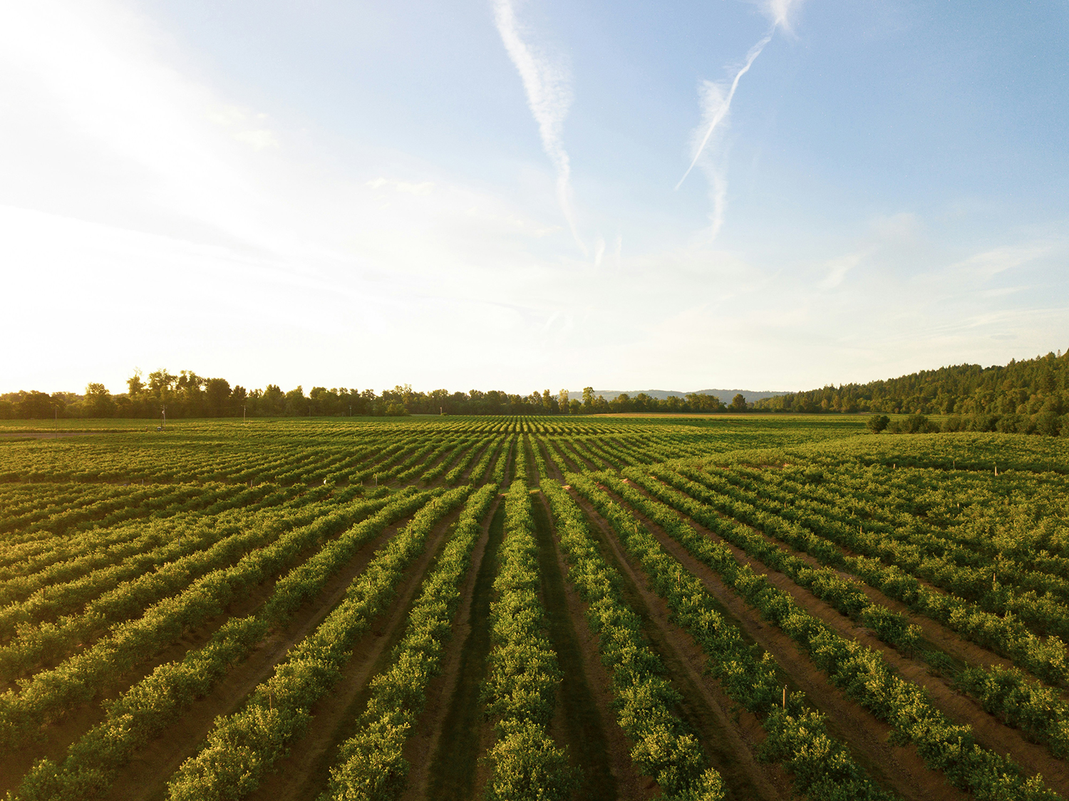 Agriculture & Farming Equipment Rentals Georgia South Carolina Agriculture & Farming Equipment Rentals Georgia South Carolina